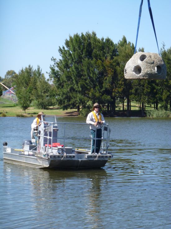 Artificial reefs deployed in Canberra lake Fishing World Australia